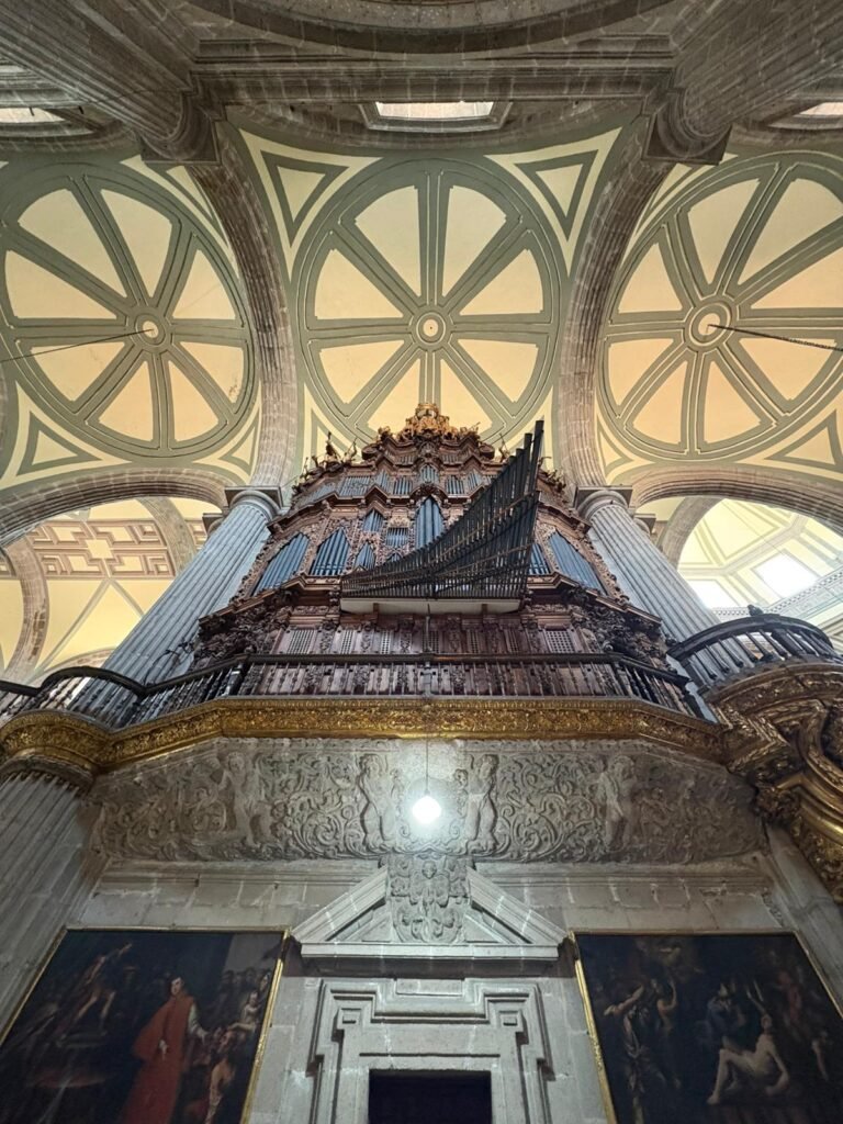 146bc043 56e6 43f8 b2e1 4010399faf44