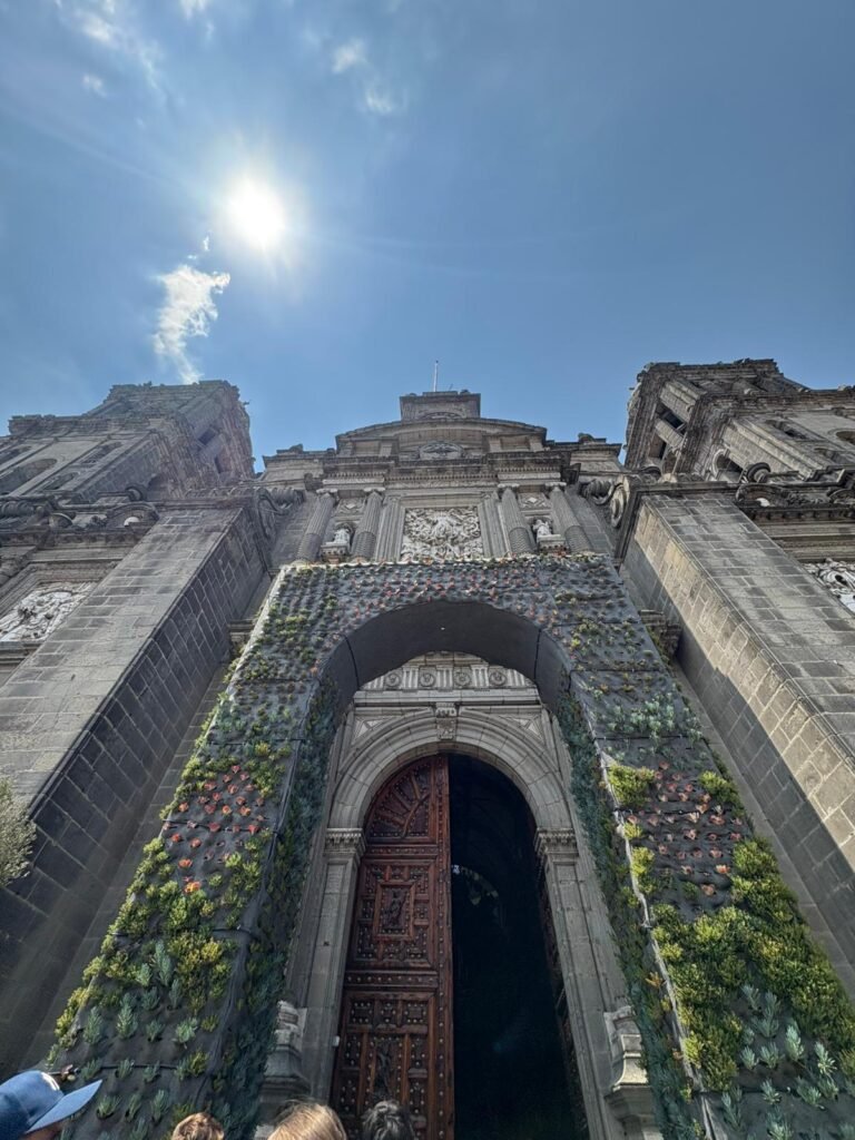 7f7a2401 4a94 4c0b 9199 1a96c9caffbd